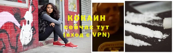 мдпв Саяногорск