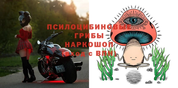 мдпв Саяногорск