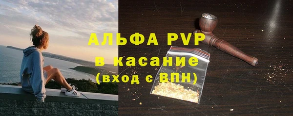 PSILOCYBIN Сафоново
