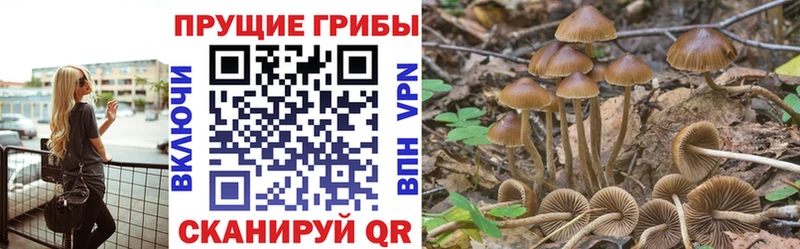 Псилоцибиновые грибы мицелий  Галич 
